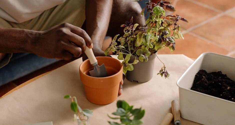 Guide des outils essentiels pour l'entretien d'hiver du jardin — Jardinage