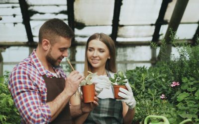 Guide pratique pour organiser un jardin d'hiver intérieur — Jardinage