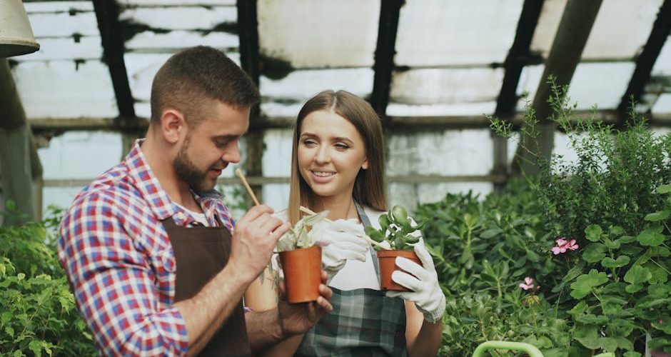 Guide pratique pour organiser un jardin d'hiver intérieur — Jardinage