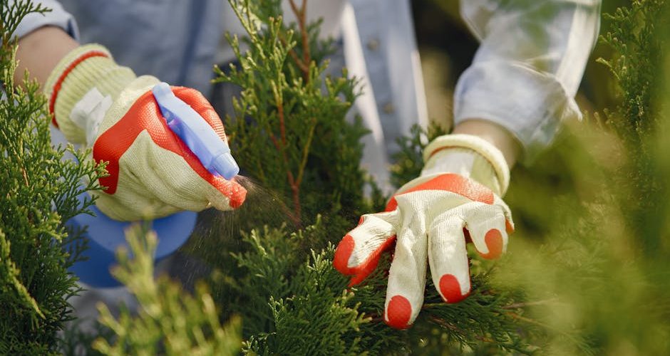 Guide complet des légumes à récolter en hiver — Jardinage
