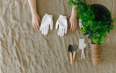 Guide pratique pour limiter le gel du sol — Jardinage