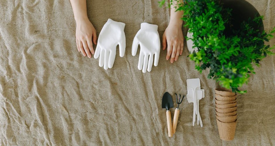 Guide pratique pour limiter le gel du sol — Jardinage