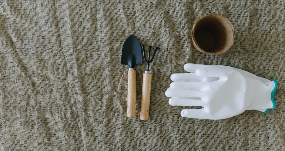 Guide des plantes résistantes au froid : quelles espèces choisir ? — Jardinage