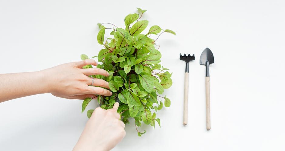 Le guide du paillis : choisir le type le plus efficace pour l'hiver — Jardinage