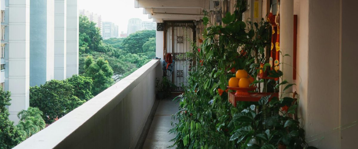 Créer un potager sur balcon : le guide du débutant — Jardinage